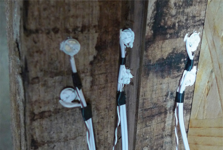 PMC10171421 – fg006