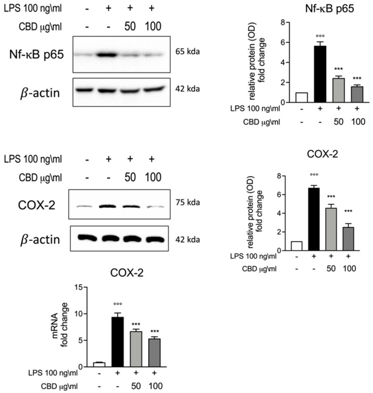 PMC8473042 – vetsci-08-00185-f003