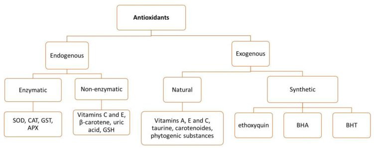 PMC9866488 – vetsci-10-00055-f001