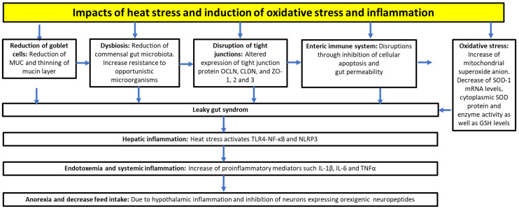 PMC9866488 – vetsci-10-00055-f002