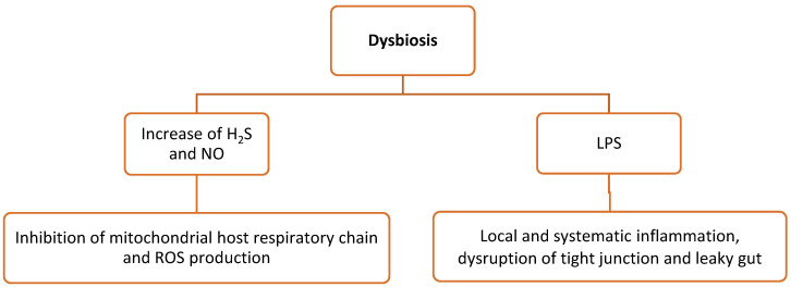 PMC9866488 – vetsci-10-00055-f003