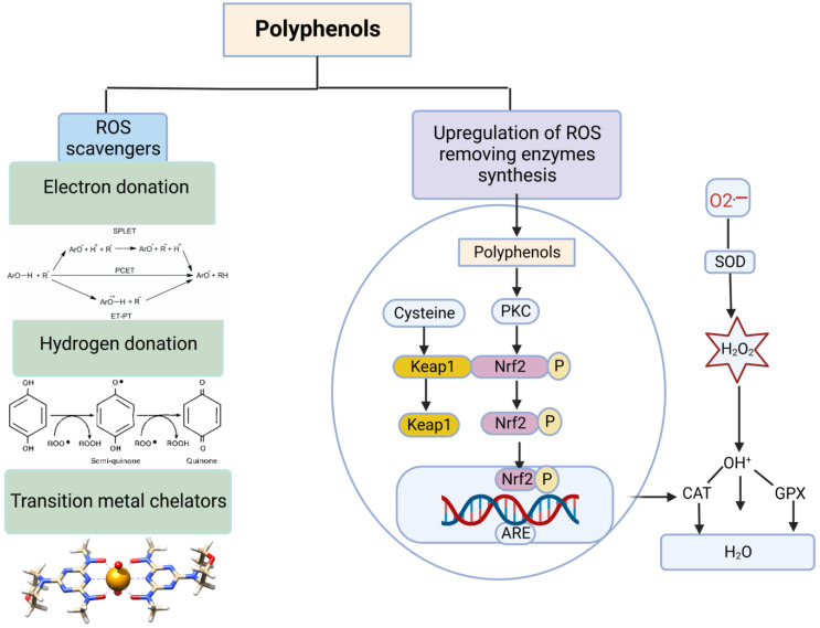PMC9866488 – vetsci-10-00055-f006