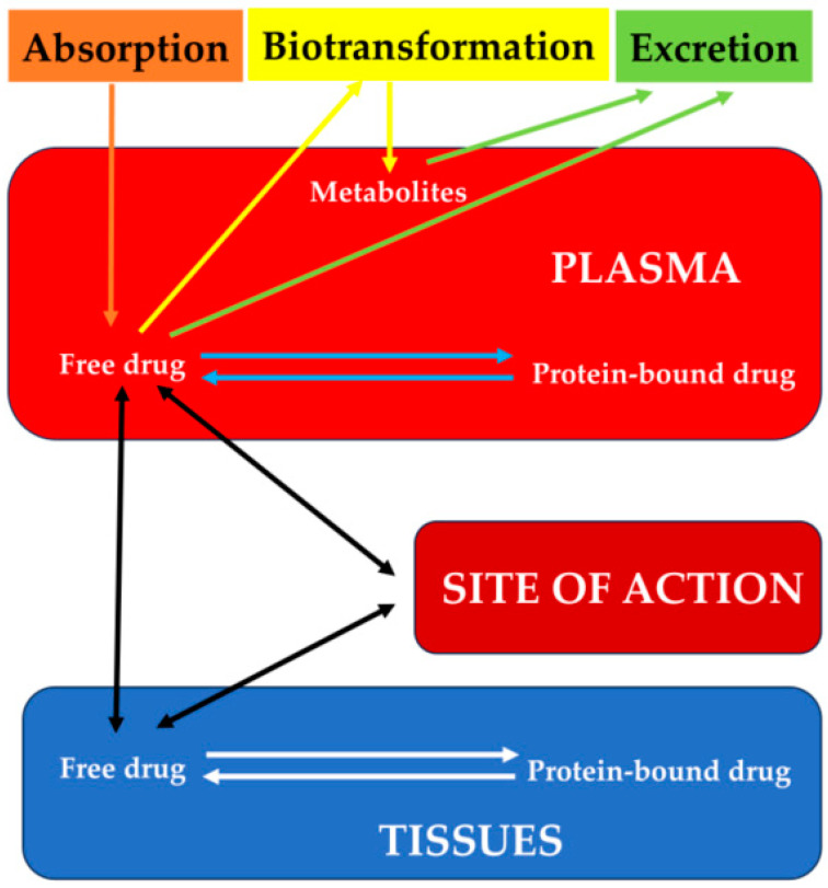PMC10974738 – vetsci-11-00133-f001