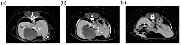 PMC11360208 – vetsci-11-00378-f002