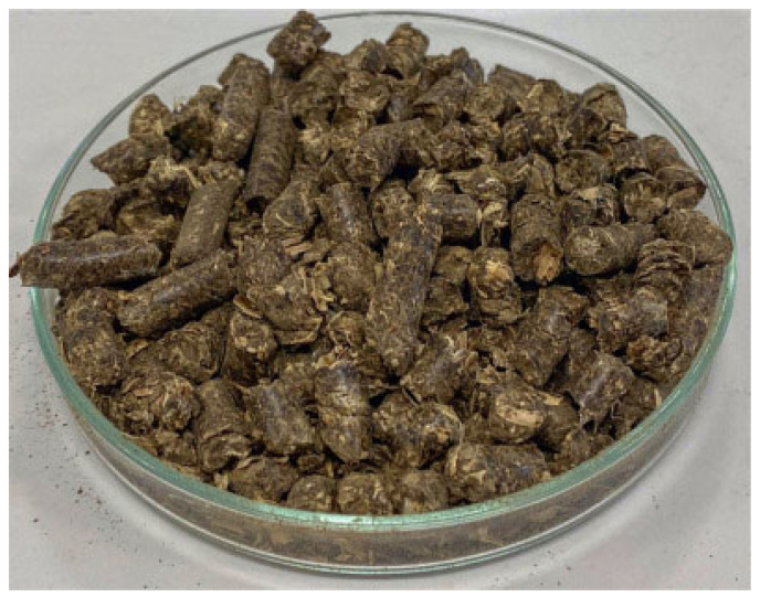 PMC11512224 – vetsci-11-00509-f001