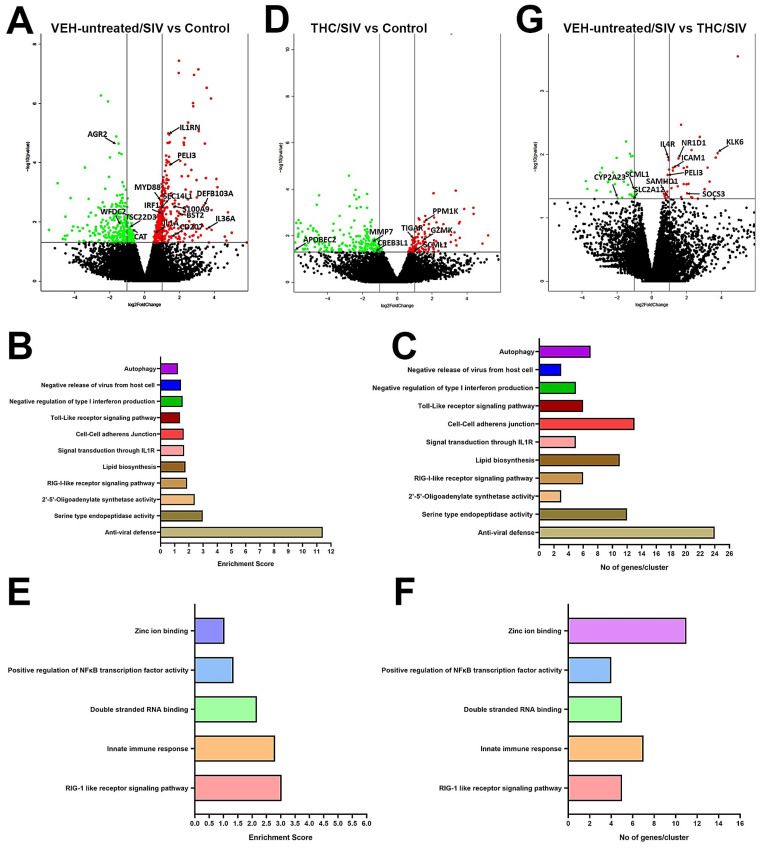 PMC7412369 – viruses-12-00713-f001