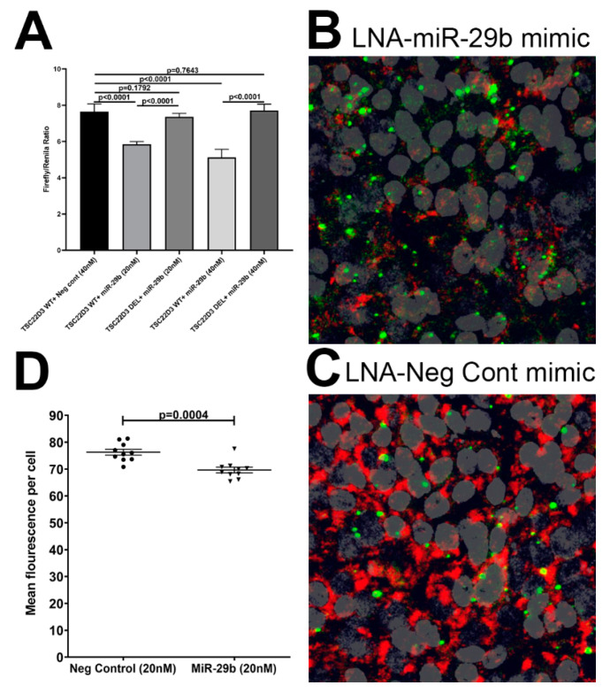 PMC7412369 – viruses-12-00713-f006