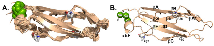 PMC7911512 – viruses-13-00159-f003