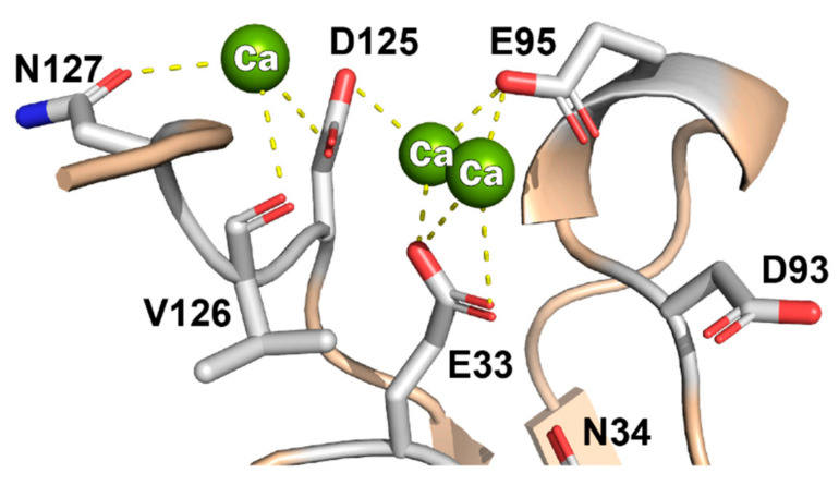 PMC7911512 – viruses-13-00159-f004