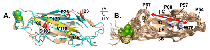 PMC7911512 – viruses-13-00159-f005
