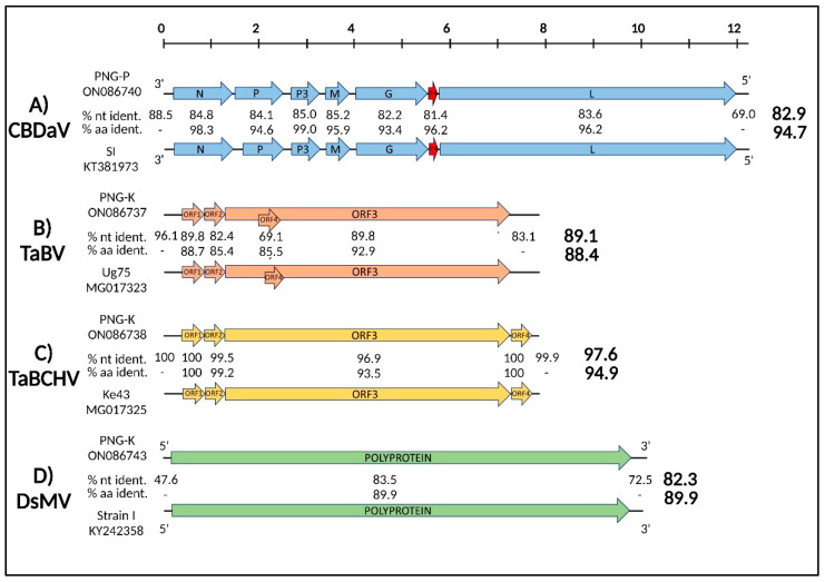 PMC9320088 – viruses-14-01410-f002
