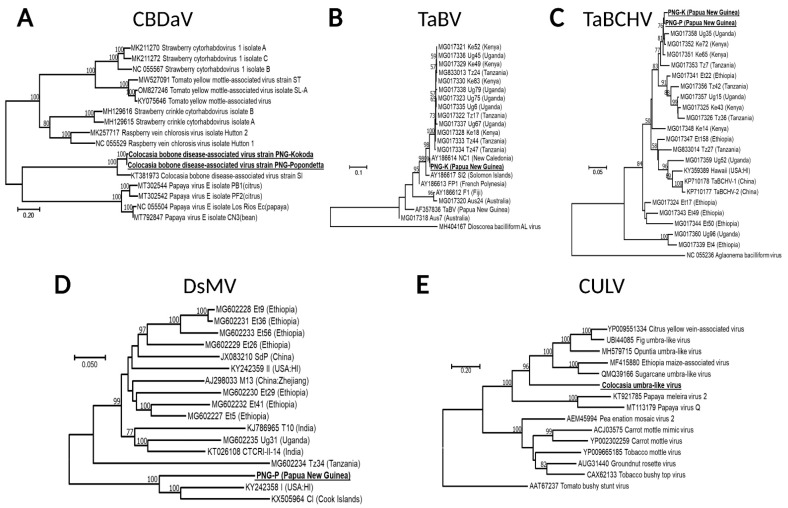 PMC9320088 – viruses-14-01410-f003