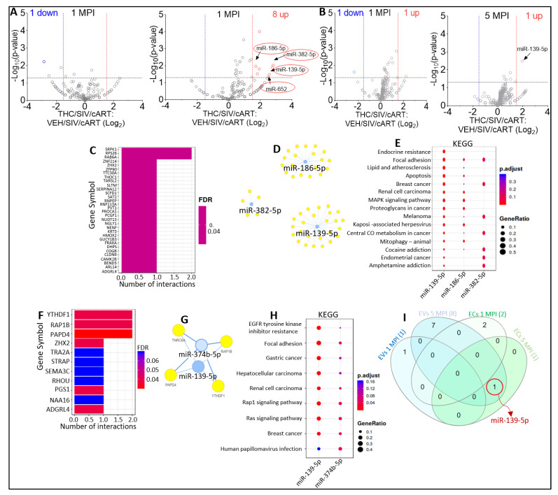 PMC10053514 – viruses-15-00623-f005