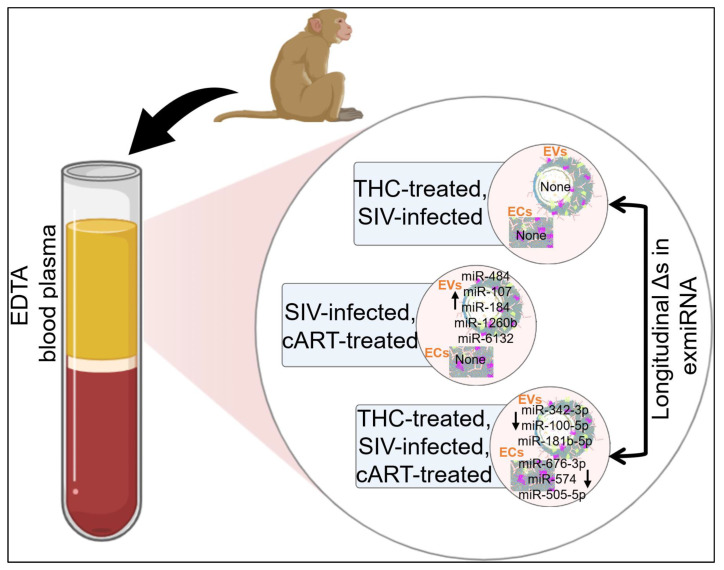 PMC10053514 – viruses-15-00623-f008