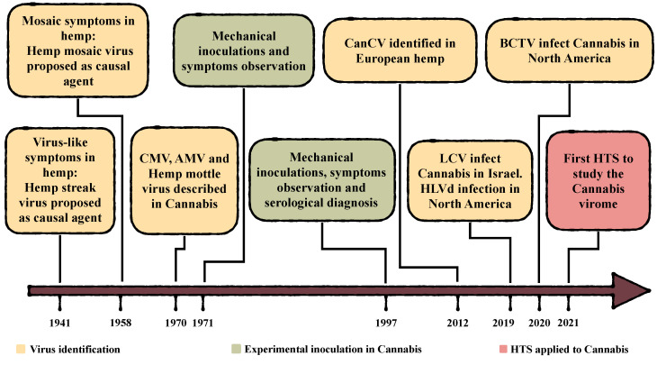 PMC10384868 – viruses-15-01532-f001