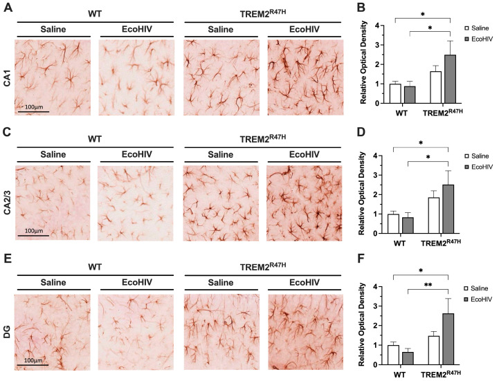 PMC11512329 – viruses-16-01509-f003