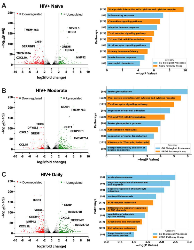 PMC11512329 – viruses-16-01509-f006