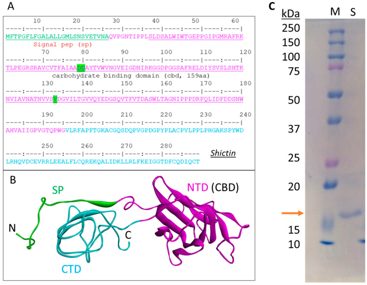 PMC11512411 – viruses-16-01546-f005