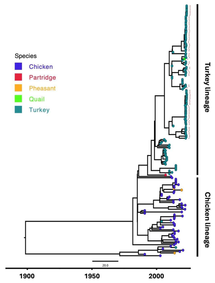 PMC12300447 – viruses-17-00926-f001