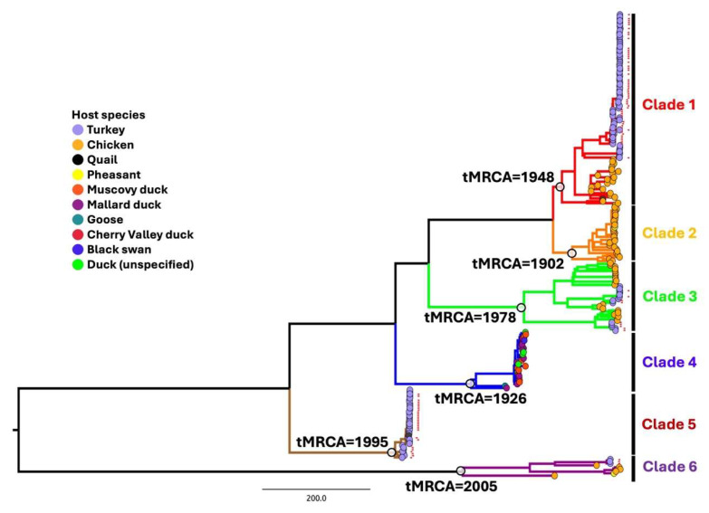 PMC12300447 – viruses-17-00926-f002