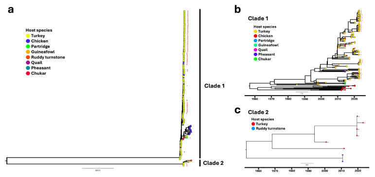PMC12300447 – viruses-17-00926-f003