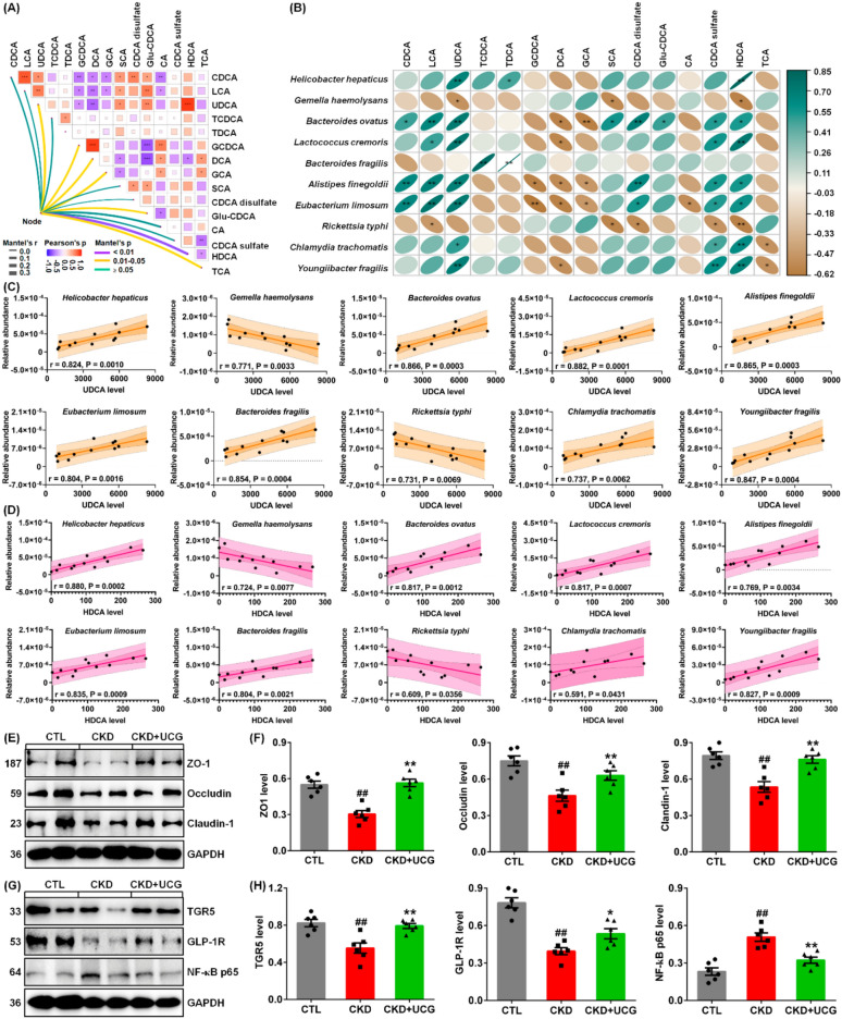 PMC13220541 – Fig9