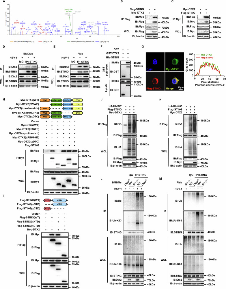 PMC13150011 – Fig3