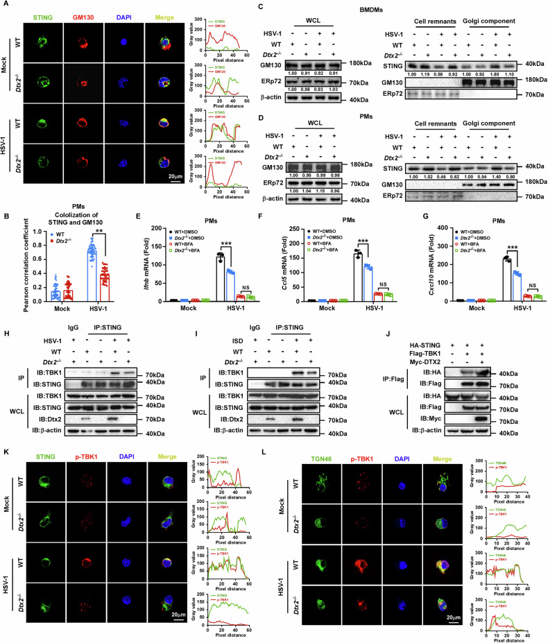 PMC13150011 – Fig4