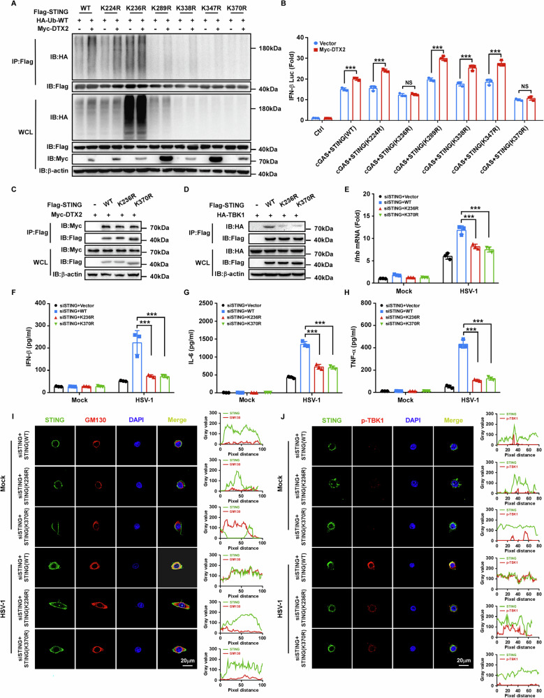 PMC13150011 – Fig5