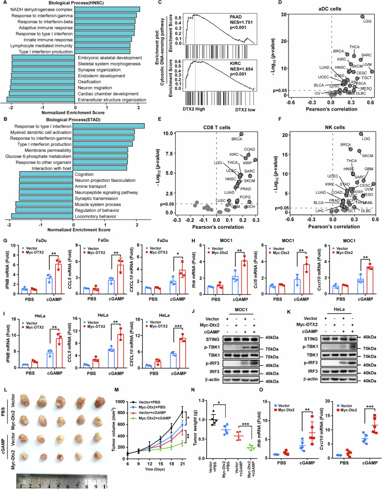 PMC13150011 – Fig7