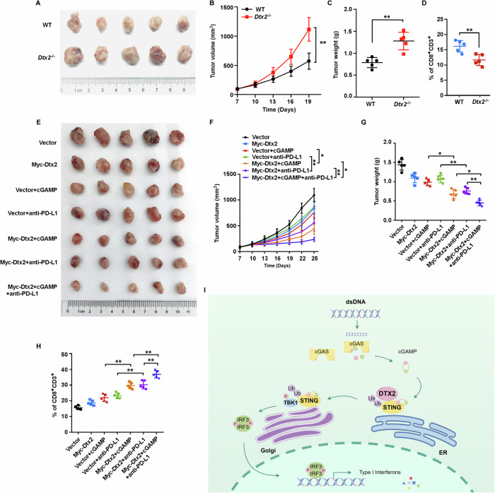 PMC13150011 – Fig8