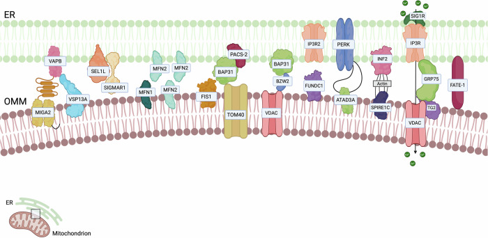 PMC13183906 – Fig1