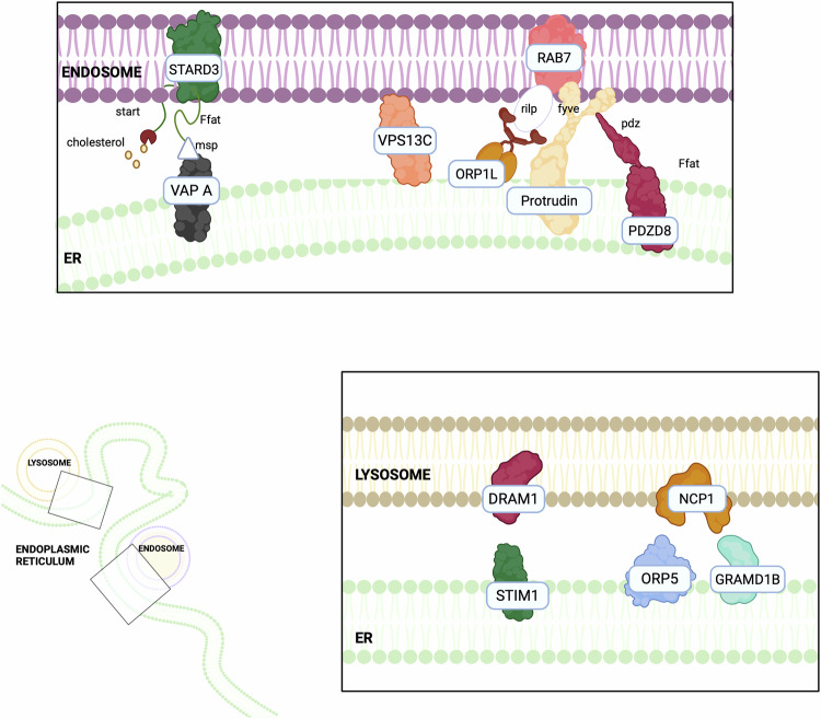PMC13183906 – Fig2