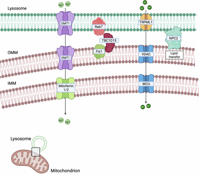 PMC13183906 – Fig3