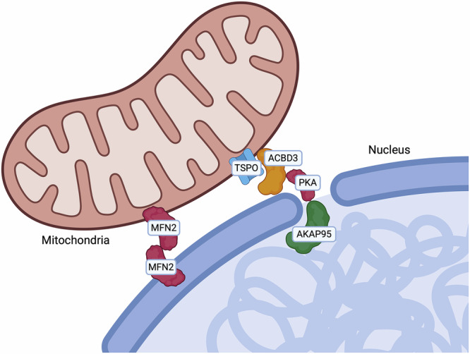 PMC13183906 – Fig4