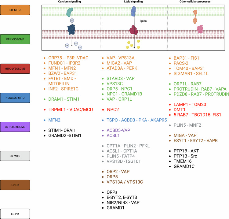 PMC13183906 – Fig8
