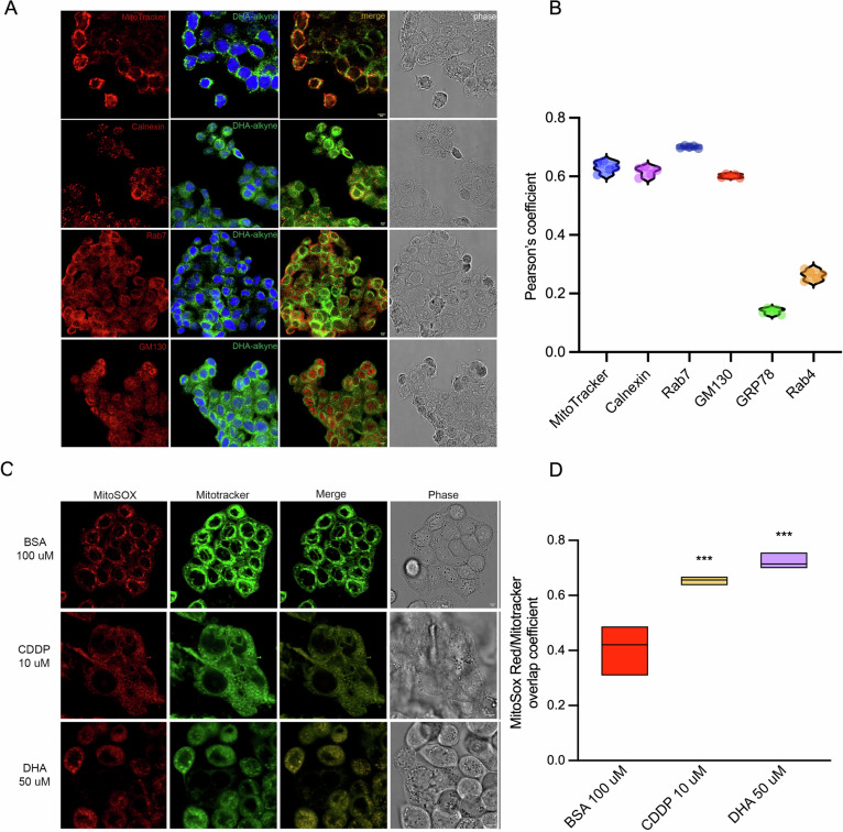 PMC13180983 – Fig3