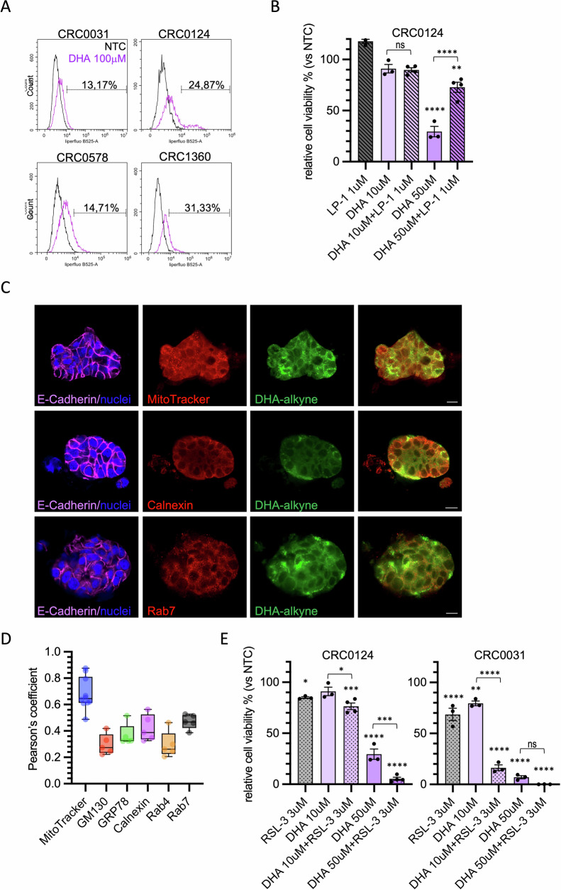 PMC13180983 – Fig5