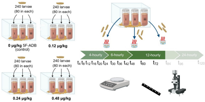 PMC13161333 – Fig4