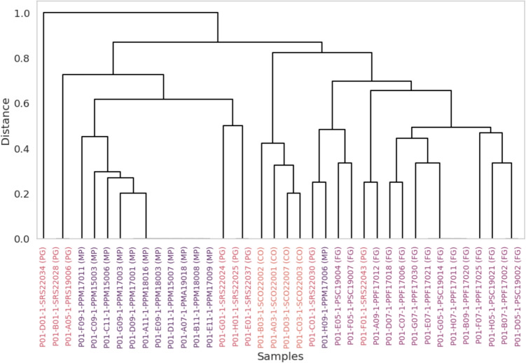 PMC13160992 – Fig4