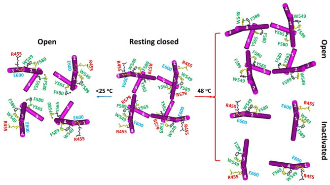 PMC13172410 – Fig1