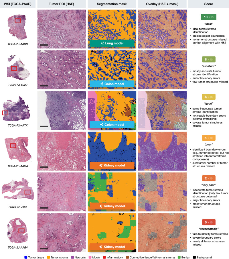PMC13195172 – Fig2