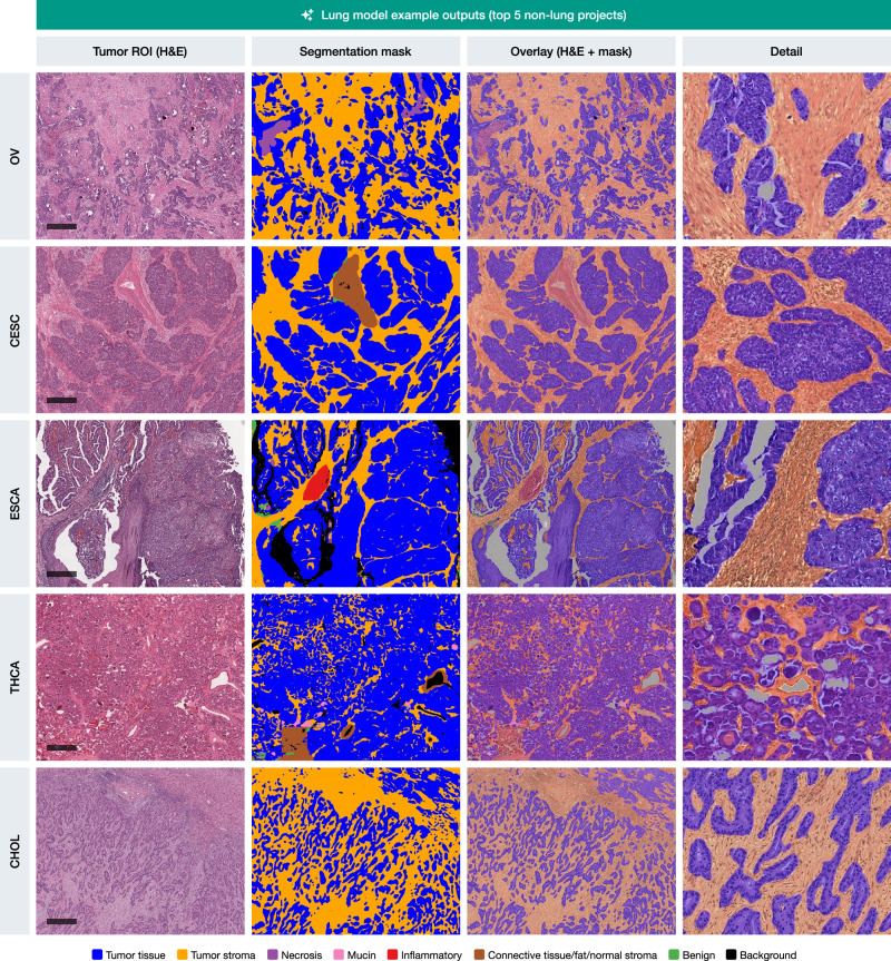 PMC13195172 – Fig5