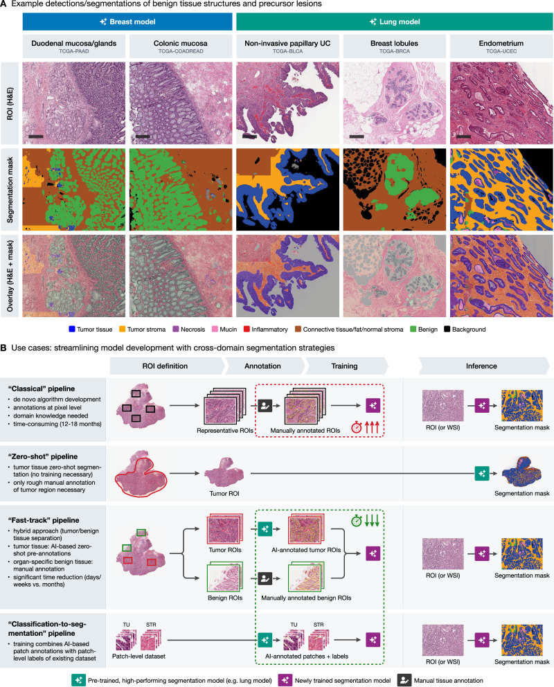 PMC13195172 – Fig7