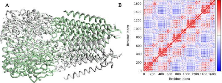 PMC13130859 – cbdv71284-fig-0012