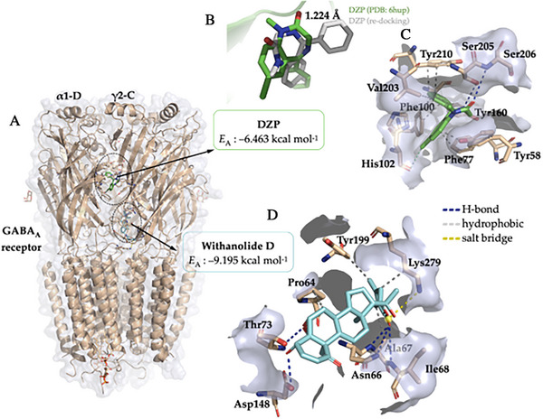 PMC13130859 – cbdv71284-fig-0007