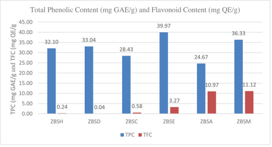 PMC13174917 – cbdv71301-fig-0002
