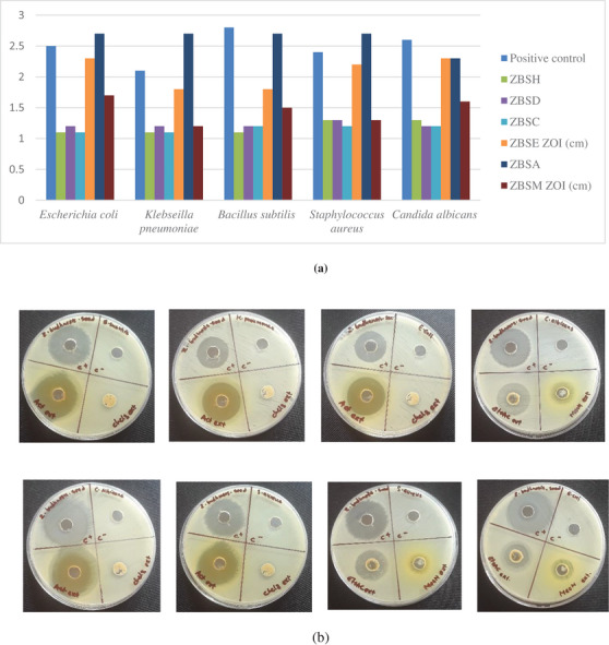PMC13174917 – cbdv71301-fig-0003
