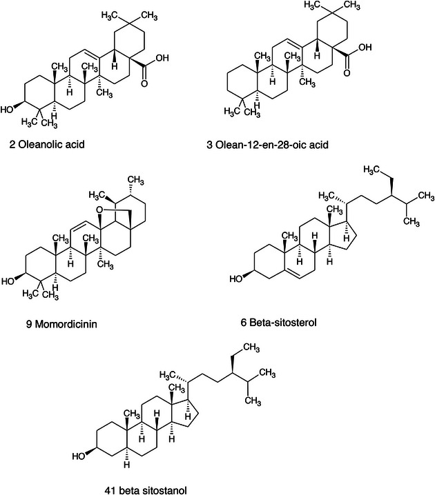 PMC13174917 – cbdv71301-fig-0013