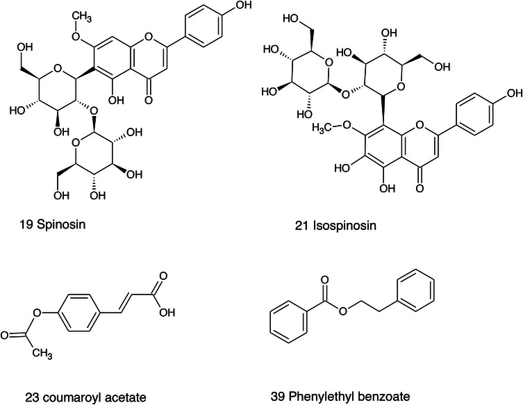 PMC13174917 – cbdv71301-fig-0014